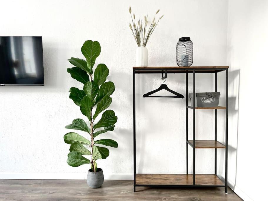 City-apartment No 2